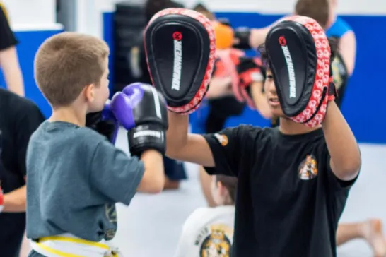 Mixed Martial Arts in Dubai